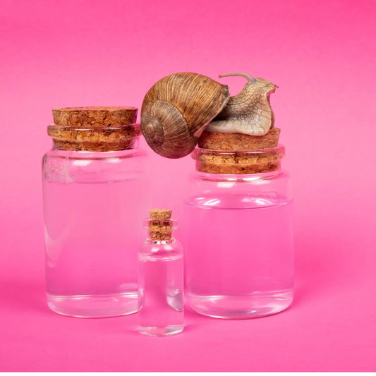 What Is Snail Mucin And Why Should You Use It?